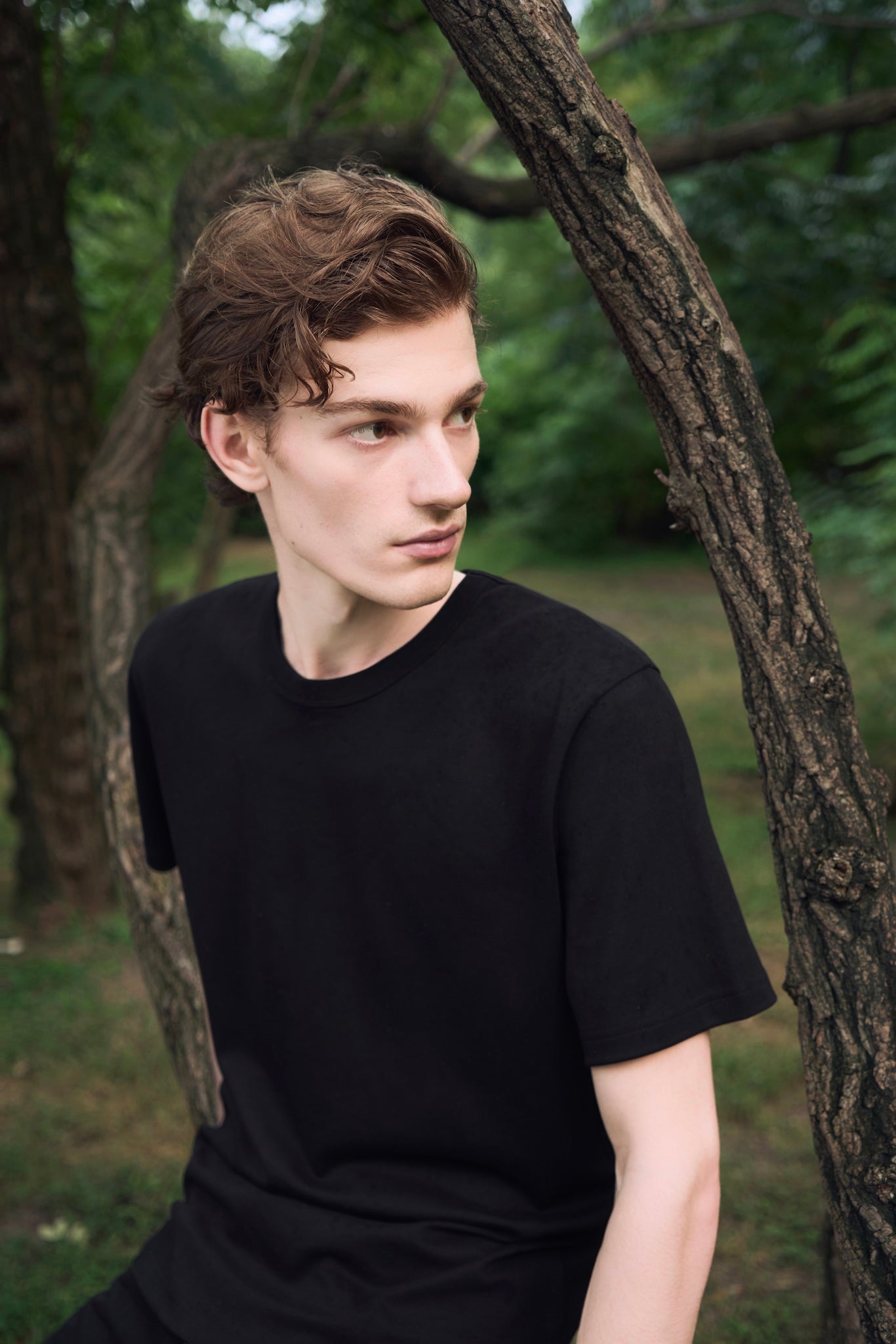 Male model sitting on a tree, wearing AURETEMPHE black organic cotton short sleeve t-shirt.