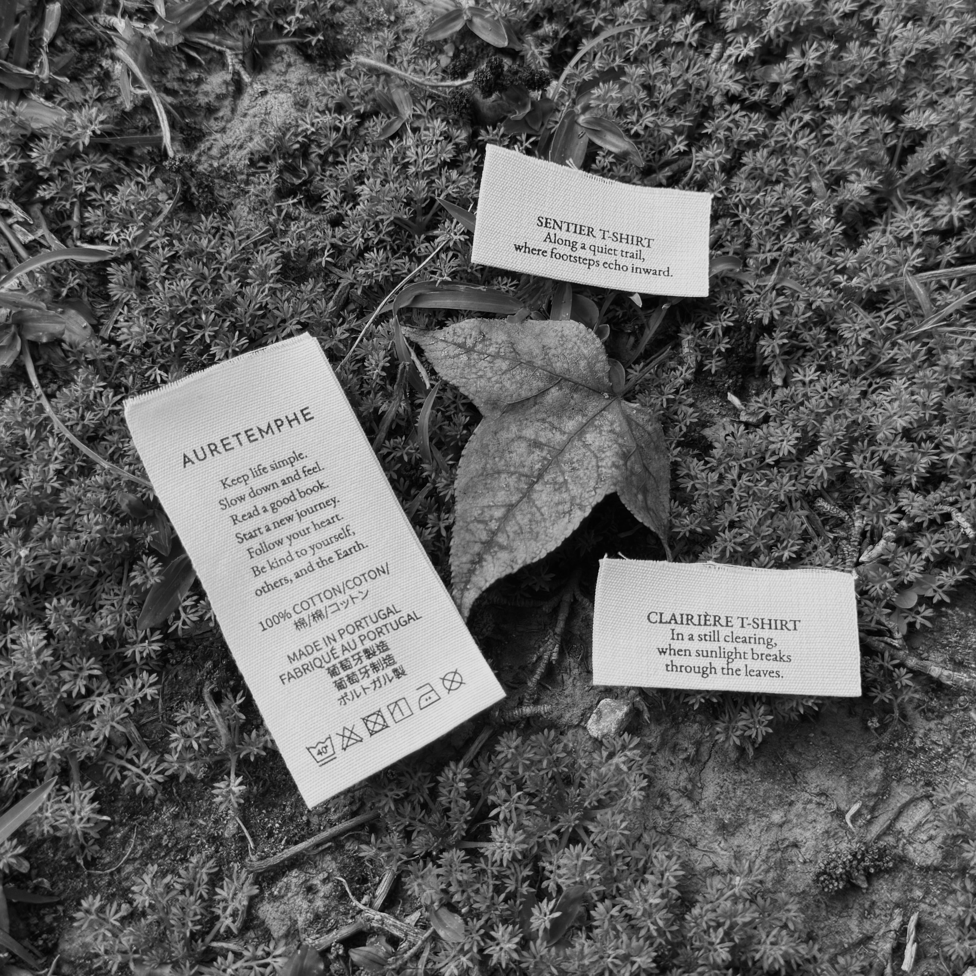 Organic cotton care label and side label in natural light, surrounded by a soft outdoor setting