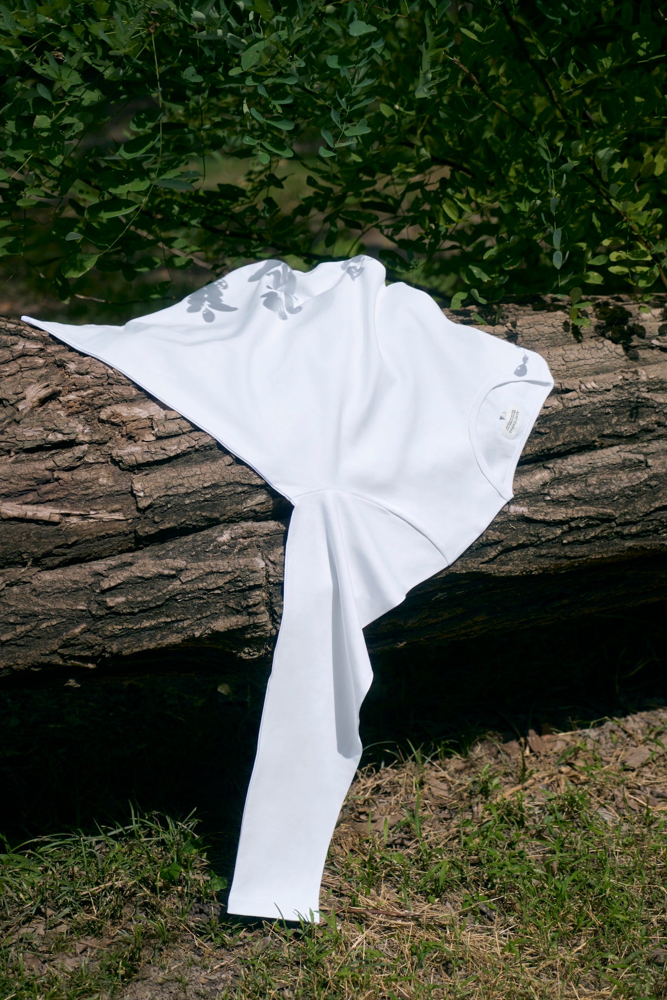 Organic cotton t-shirt from AURETEMPHE first capsule collection, displayed on a tree trunk in sunlight.