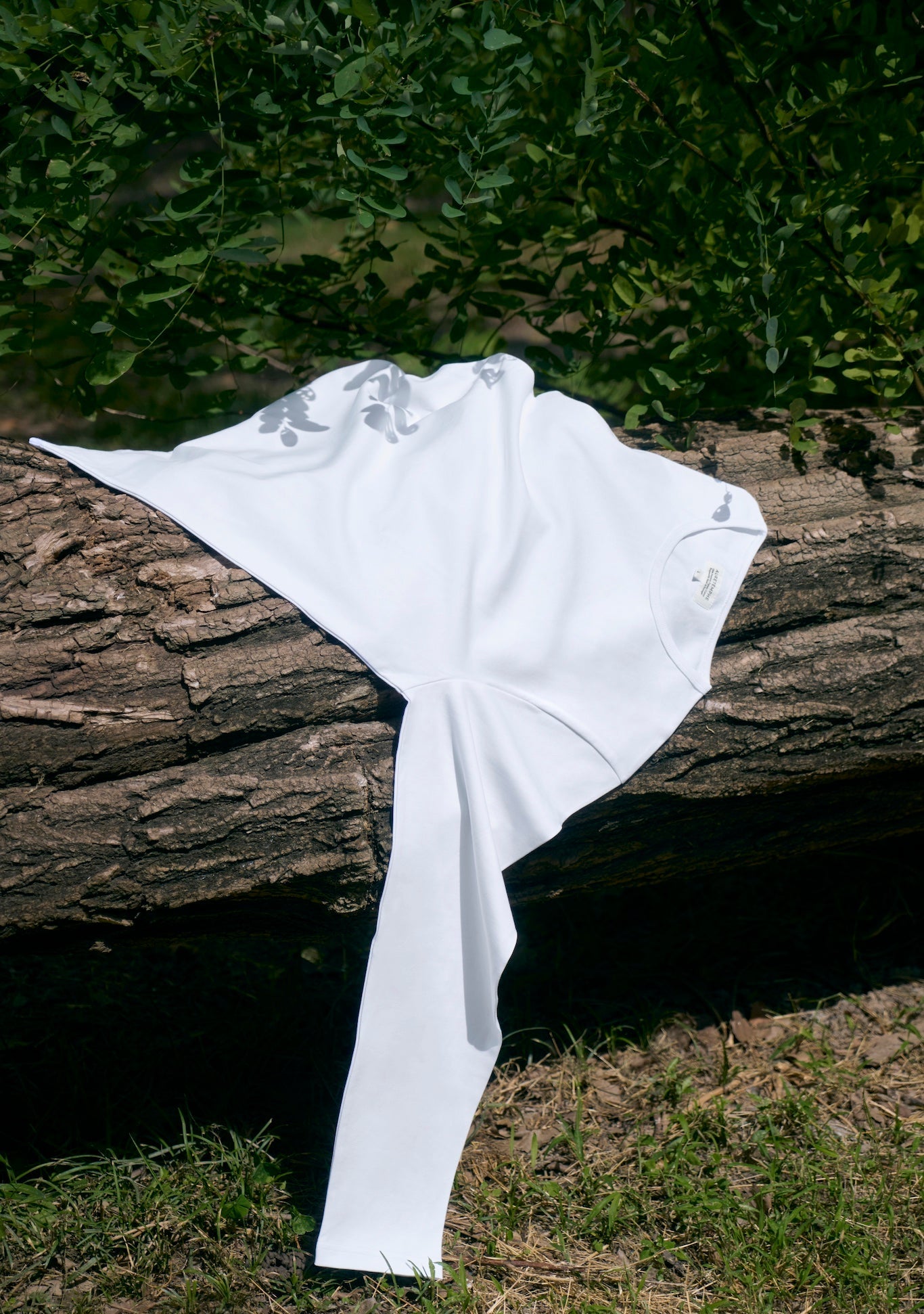 Organic cotton t-shirt from AURETEMPHE first capsule collection, displayed on a tree trunk in sunlight.