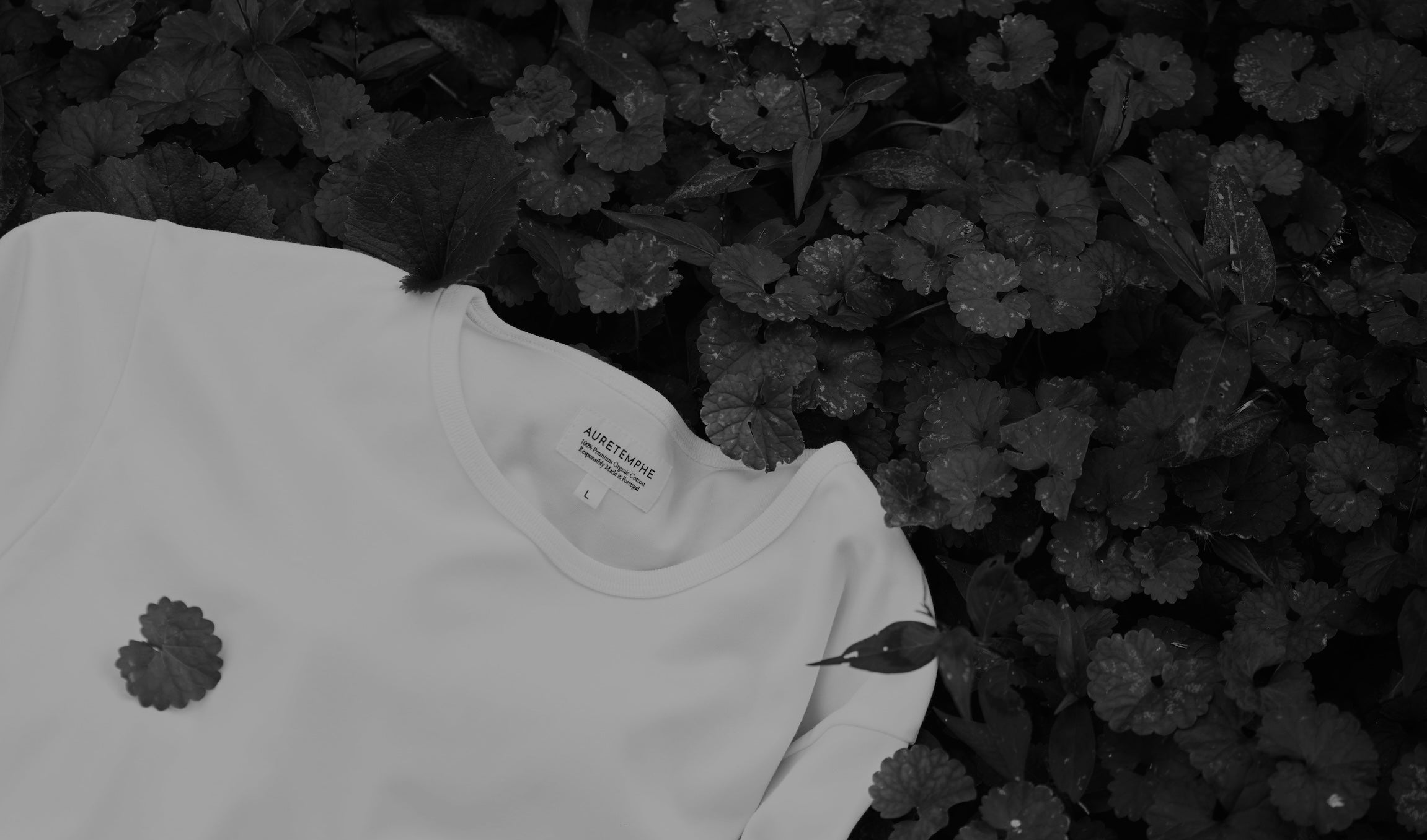 AURETEMPHE first capsule organic cotton t-shirt placed among leaves in nature, captured in monochrome.