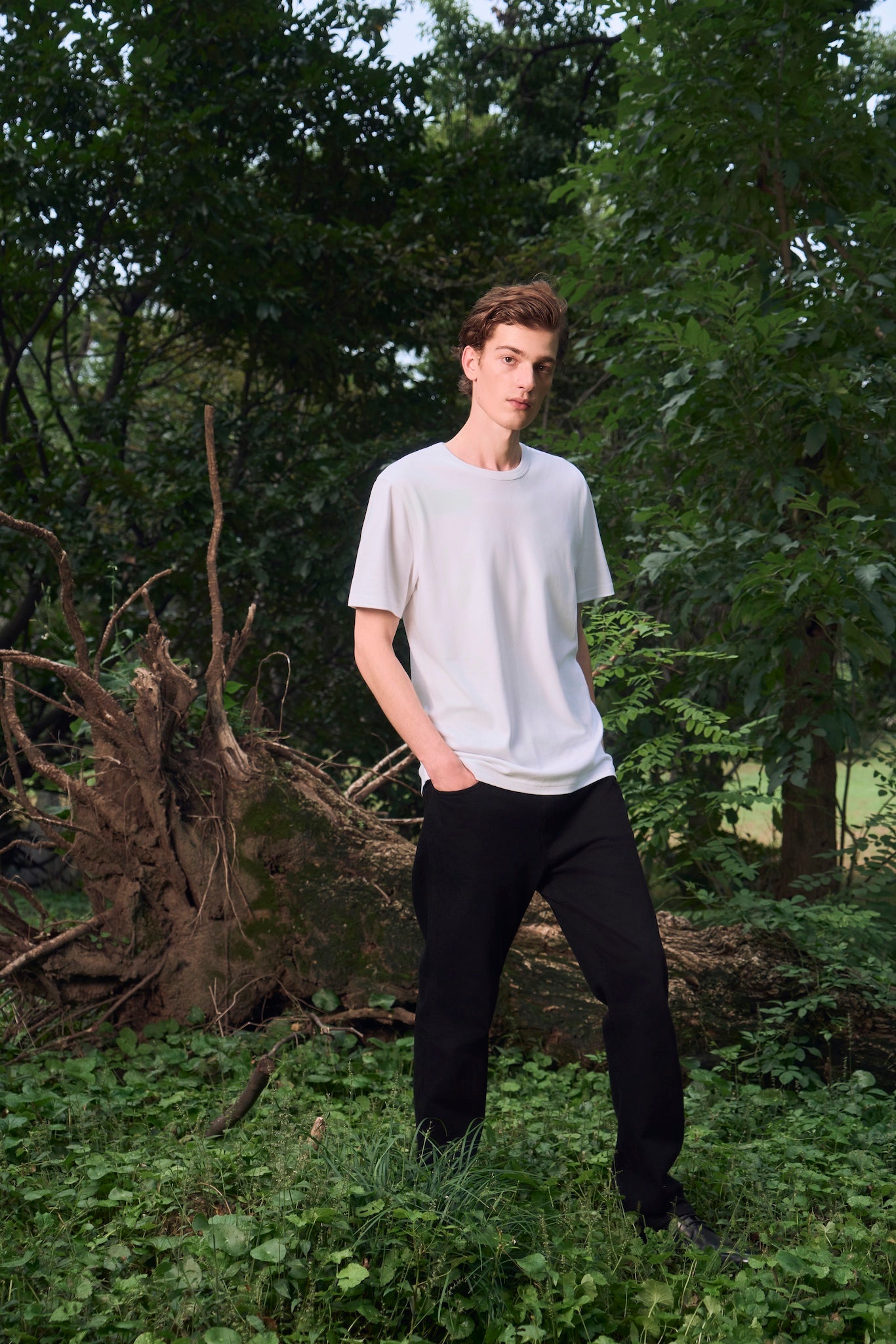 Male model standing in a natural setting with attentive expression, wearing AURETEMPHE white organic cotton short sleeve t-shirt.